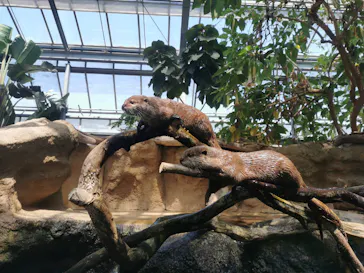 神戸どうぶつ王国に投稿された画像（2022/5/4）