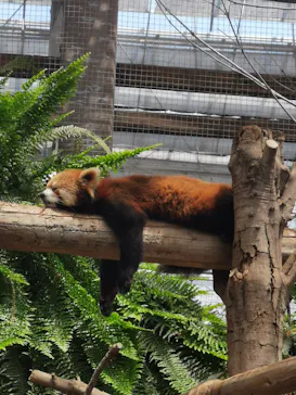 神戸どうぶつ王国に投稿された画像（2022/5/4）