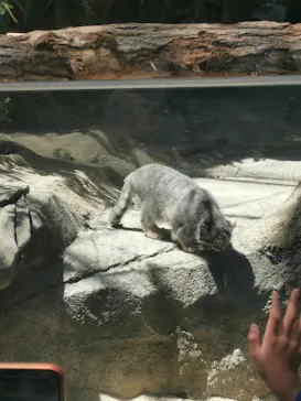 神戸どうぶつ王国に投稿された画像（2022/5/4）