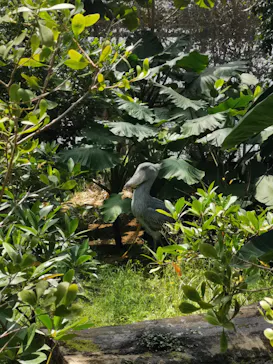 神戸どうぶつ王国に投稿された画像（2022/5/4）