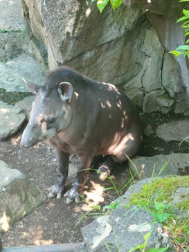伊豆シャボテン動物公園に投稿された画像（2022/5/4）