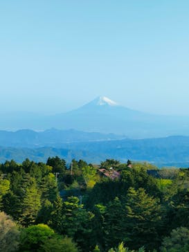 伊豆シャボテン動物公園に投稿された画像（2022/5/4）