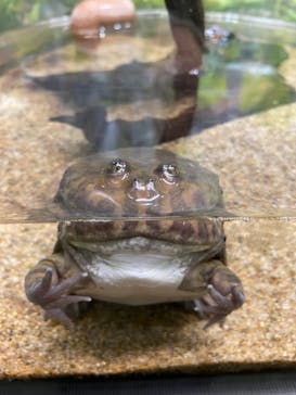 サンシャイン水族館に投稿された画像（2022/5/4）