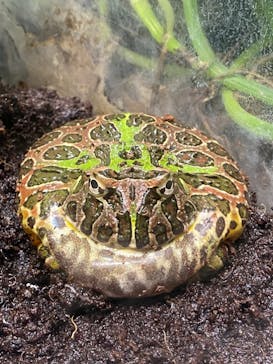 サンシャイン水族館に投稿された画像（2022/5/4）