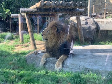 東武動物公園に投稿された画像（2022/5/4）