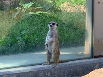 東武動物公園に投稿された画像（2022/5/4）