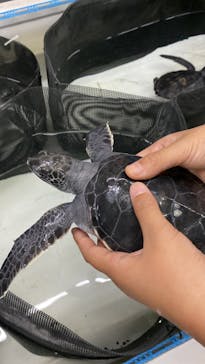 南知多ビーチランド＆南知多おもちゃ王国に投稿された画像（2022/5/4）