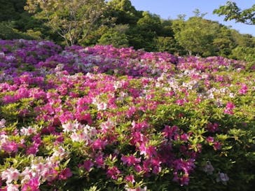神戸布引ハーブ園／ロープウェイに投稿された画像（2022/5/4）