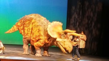 恐竜ラボ！ ディノ・サバイバル DINO-A-LIVE　福岡に投稿された画像（2022/5/4）