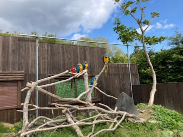 岩手サファリパークに投稿された画像（2022/5/4）