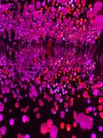 森ビル デジタルアート ミュージアム：エプソン チームラボボーダレスに投稿された画像（2022/5/4）