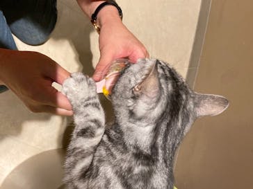 Moff animal world MARK IS みなとみらい店に投稿された画像（2022/5/4）