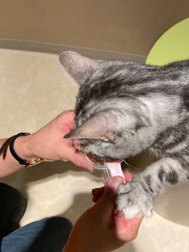 Moff animal world MARK IS みなとみらい店に投稿された画像（2022/5/4）