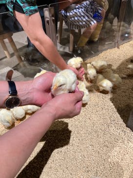 Moff animal world MARK IS みなとみらい店に投稿された画像（2022/5/4）