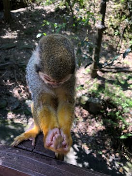 長崎バイオパークに投稿された画像（2022/5/4）