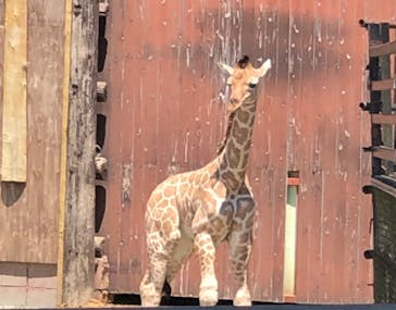 長崎バイオパークに投稿された画像（2022/5/4）