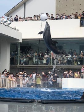 長崎バイオパークに投稿された画像（2022/5/4）