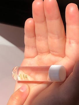 地底王国「美川ムーバレー」に投稿された画像（2022/5/4）