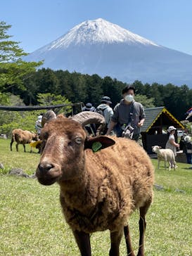 まかいの牧場に投稿された画像（2022/5/4）