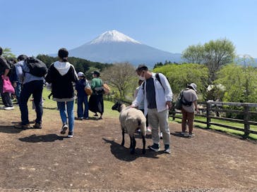 まかいの牧場に投稿された画像（2022/5/4）