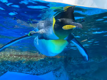 横浜・八景島シーパラダイスに投稿された画像（2022/5/4）