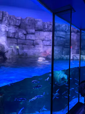 横浜・八景島シーパラダイスに投稿された画像（2022/5/4）