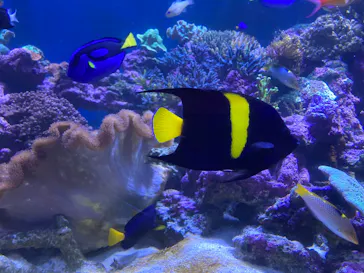 横浜・八景島シーパラダイスに投稿された画像（2022/5/4）