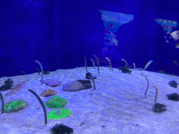 横浜・八景島シーパラダイスに投稿された画像（2022/5/4）