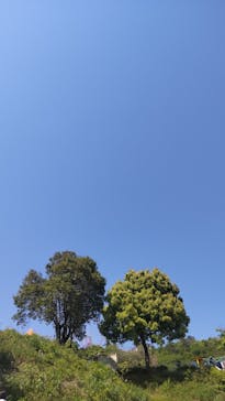 さがみ湖MORI MORIに投稿された画像（2022/5/4）