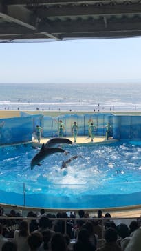 新江ノ島水族館に投稿された画像（2022/5/4）