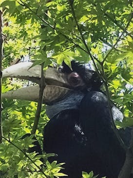 東武動物公園に投稿された画像（2022/5/4）