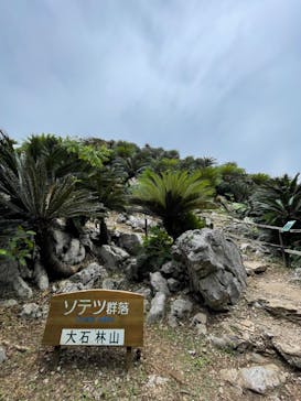 アスムイハイクスに投稿された画像（2022/5/4）