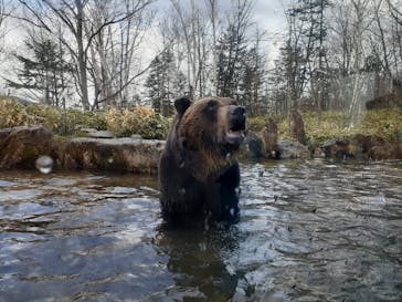 サホロリゾート　ベア･マウンテンに投稿された画像（2022/5/4）