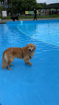 わんダフルネイチャーヴィレッジに投稿された画像（2022/5/4）