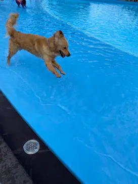 わんダフルネイチャーヴィレッジに投稿された画像（2022/5/4）