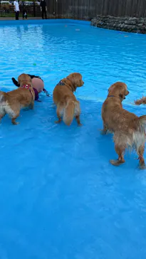 わんダフルネイチャーヴィレッジに投稿された画像（2022/5/4）