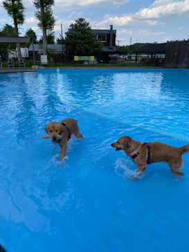 わんダフルネイチャーヴィレッジに投稿された画像（2022/5/4）
