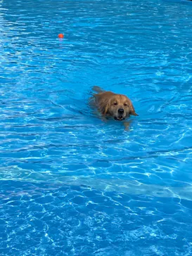 わんダフルネイチャーヴィレッジに投稿された画像（2022/5/4）