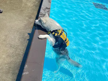 わんダフルネイチャーヴィレッジに投稿された画像（2022/5/4）