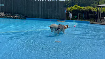 わんダフルネイチャーヴィレッジに投稿された画像（2022/5/4）