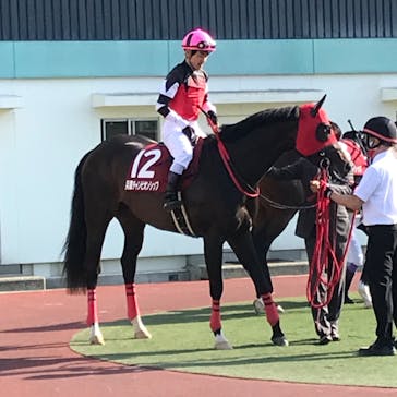 園田競馬場に投稿された画像（2022/5/4）