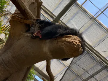 神戸どうぶつ王国に投稿された画像（2022/5/4）