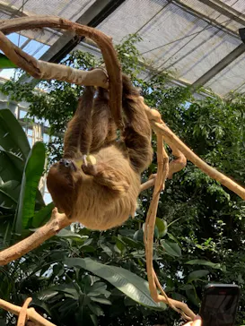 神戸どうぶつ王国に投稿された画像（2022/5/4）