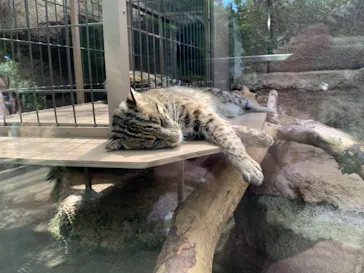 神戸どうぶつ王国に投稿された画像（2022/5/4）