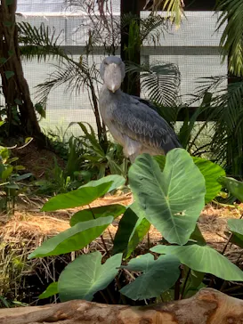 神戸どうぶつ王国に投稿された画像（2022/5/4）