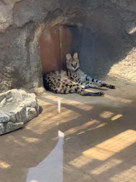 神戸どうぶつ王国に投稿された画像（2022/5/4）