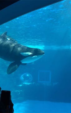 名古屋港水族館に投稿された画像（2022/5/4）