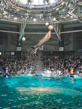 マクセル アクアパーク品川に投稿された画像（2022/5/4）