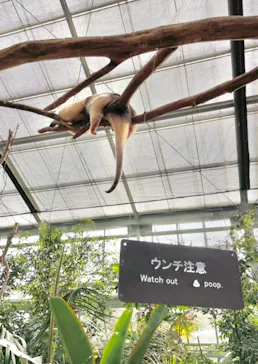 神戸どうぶつ王国に投稿された画像（2022/5/4）