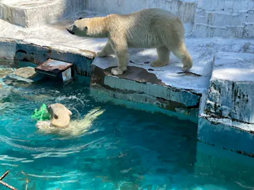 天王寺動物園に投稿された画像（2022/5/4）